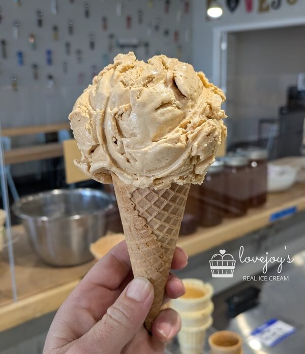 Pumpkin Spice ice cream